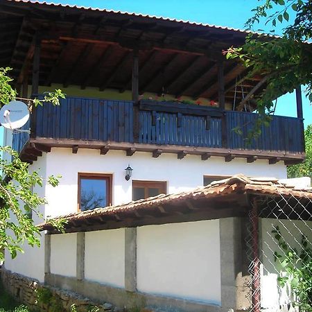Guest House Yana Turkasheni Екстер'єр фото