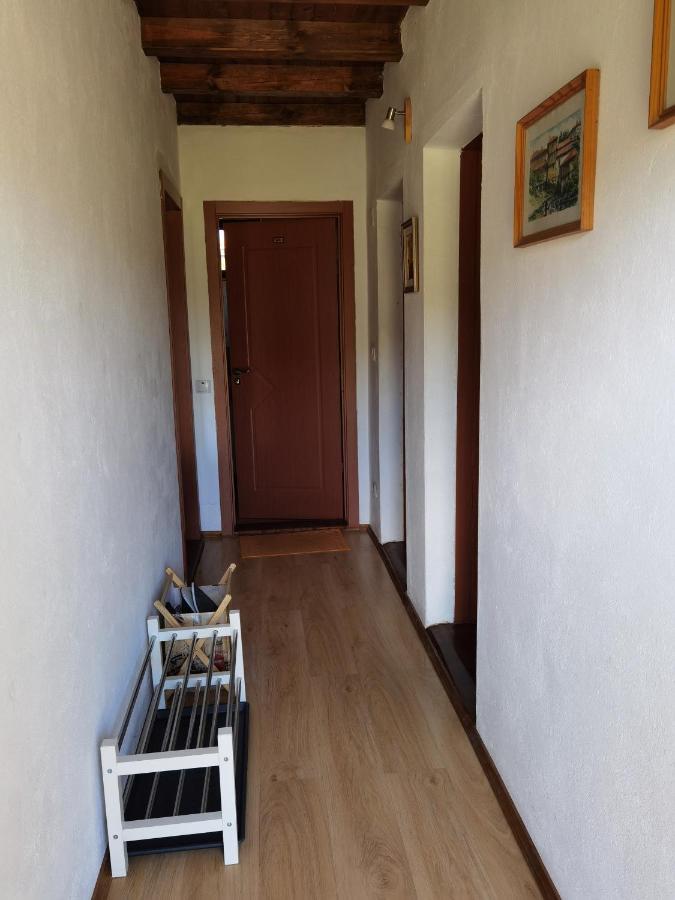 Guest House Yana Turkasheni Екстер'єр фото