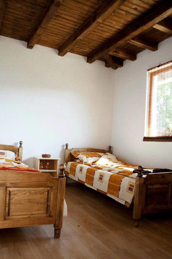 Guest House Yana Turkasheni Екстер'єр фото