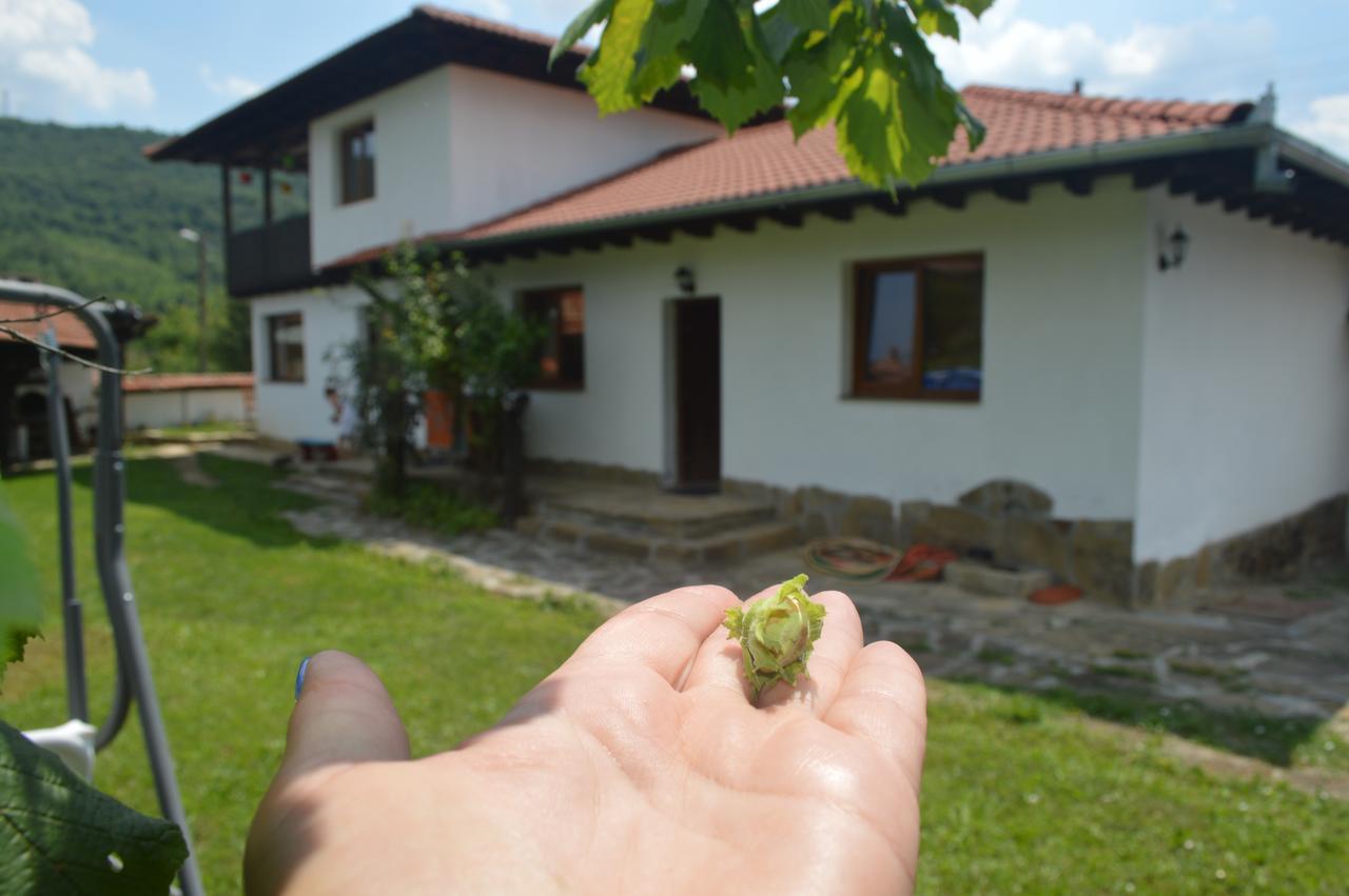 Guest House Yana Turkasheni Екстер'єр фото