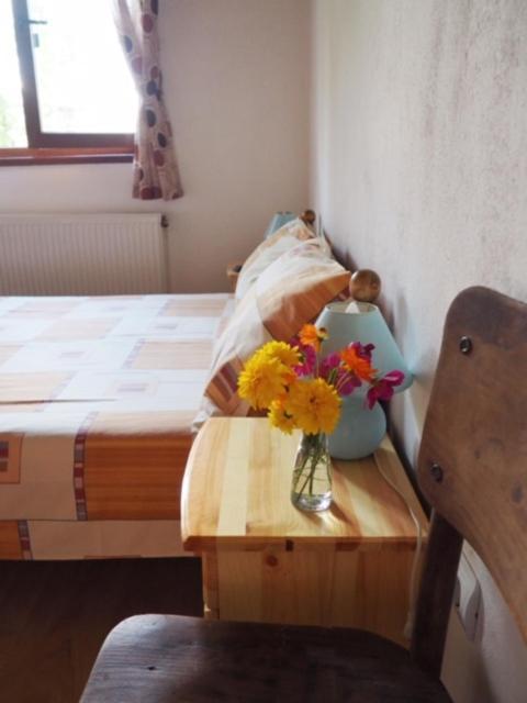 Guest House Yana Turkasheni Екстер'єр фото