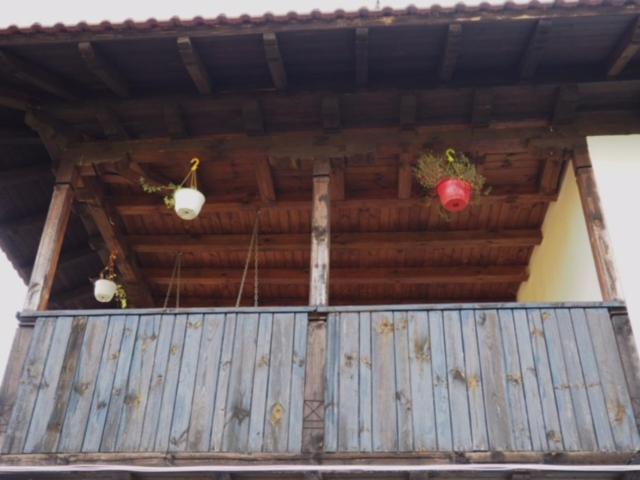 Guest House Yana Turkasheni Екстер'єр фото