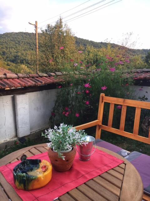 Guest House Yana Turkasheni Екстер'єр фото