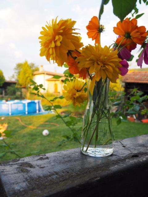 Guest House Yana Turkasheni Екстер'єр фото